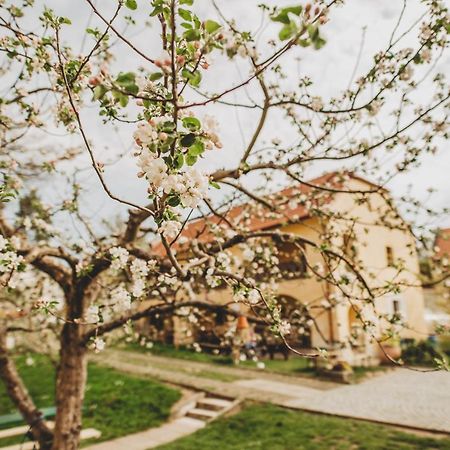 Boutique Apartman Speicher Πράγα Εξωτερικό φωτογραφία