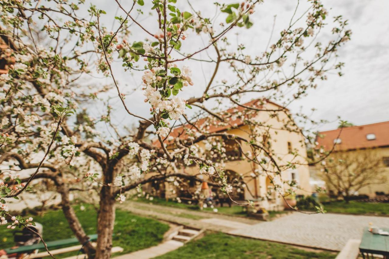 Boutique Apartman Speicher Πράγα Εξωτερικό φωτογραφία